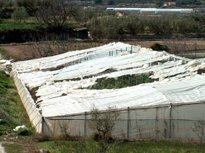 The Plastic Greenhouse Effect The Plastic Greenhouse Effect