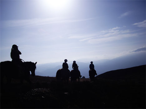 Horsing around in the hills Horsing around in the hills