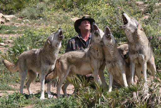 The wolfman of Antequera