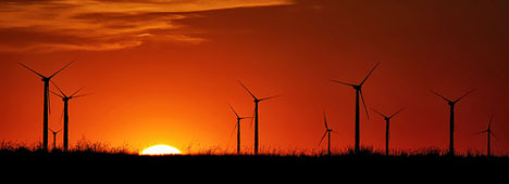 An ill wind thumbnail