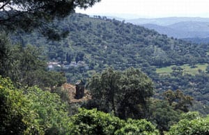 Aristocrat backs motorway park protest thumbnail
