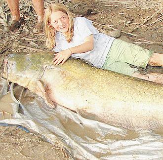 A tiddler lands the fish record A tiddler lands the fish record