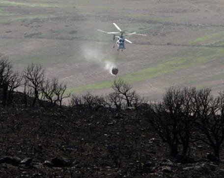 Forest fire grips region Forest fire grips region