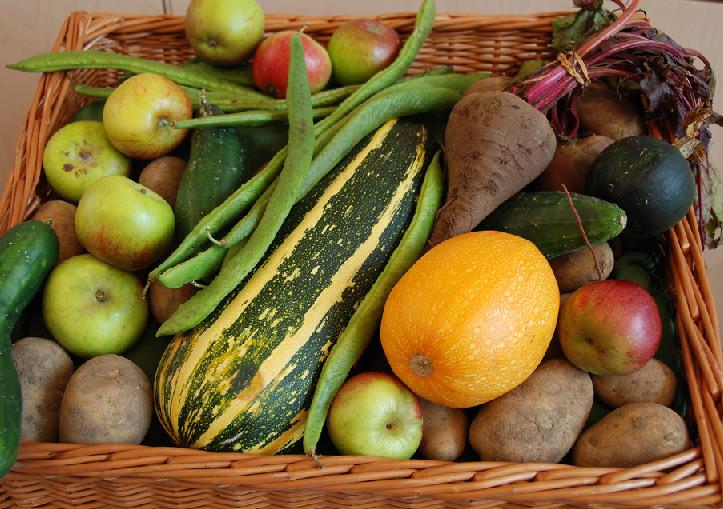 Go herbal this summer