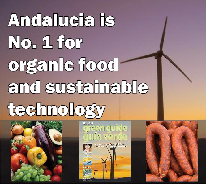 On top of the world thumbnail