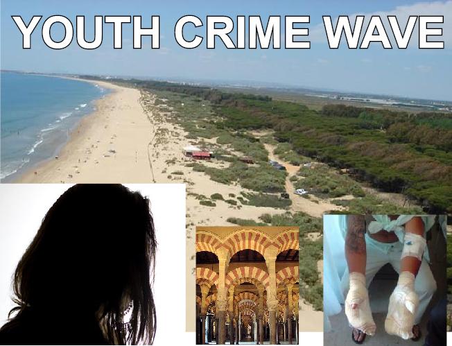 Youth Crime Statistics