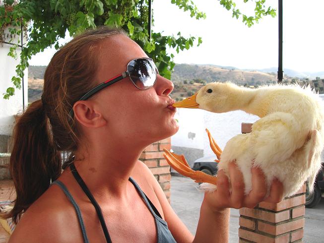 What a quacker thumbnail