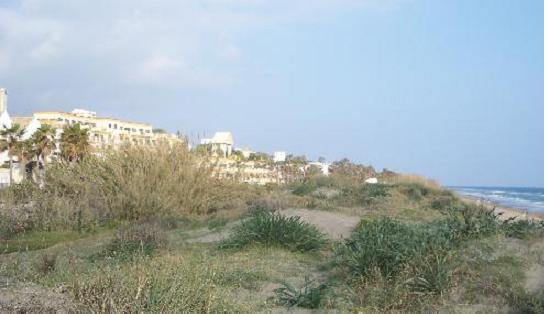Save our dunes Save our dunes