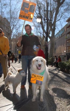 Pet justice Pet justice