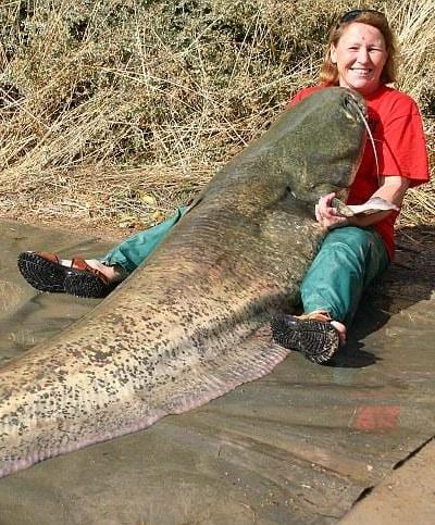 Catch of the day! thumbnail