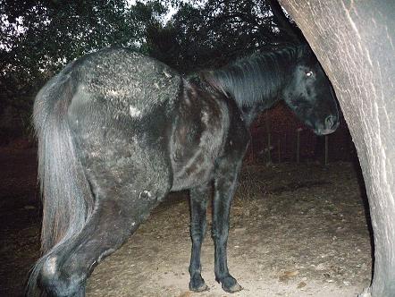 Where will it end? thumbnail