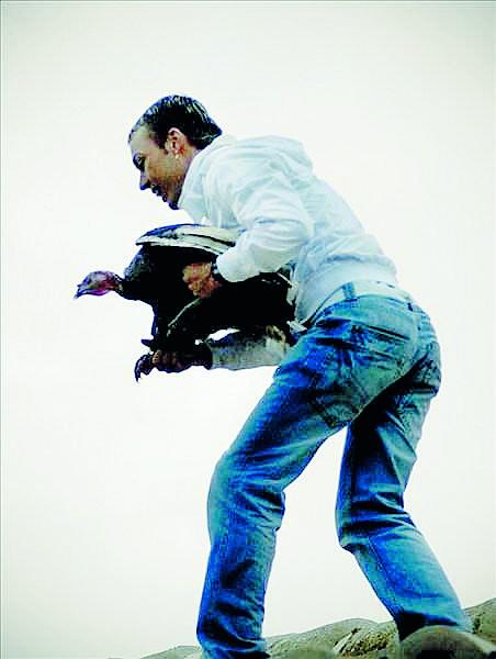 Turkey tossing