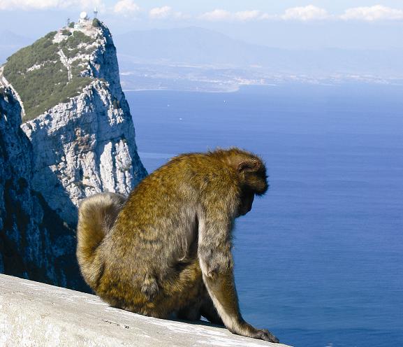 Gibraltar rocks Gibraltar rocks