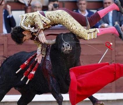 Renowned Spanish bullfighter in intensive care Renowned Spanish bullfighter in intensive care