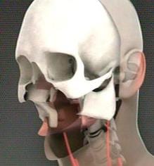 World’s first full face transplant undertaken in Spain World’s first full face transplant undertaken in Spain