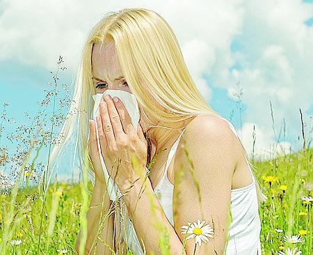 The summer tipples that may make us sneeze in Andalucia The summer tipples that may make us sneeze in Andalucia