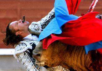 Despite torture scenes the brave are still taking the bull by the horns Despite torture scenes the brave are still taking the bull by the horns