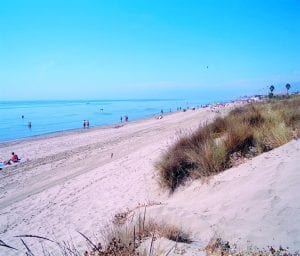 Save our dunes Save our dunes