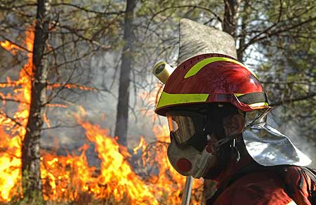 Fire in Estepona forces 200 to leave homes Fire in Estepona forces 200 to leave homes