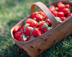 strawberry_basket
