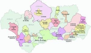 Andalucia wine: 20 reasons to go local Andalucia wine: 20 reasons to go local