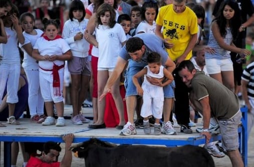 Bull on the rampage in Spain Bull on the rampage in Spain