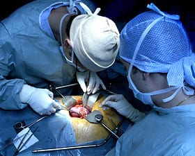 Spain leads the world in organ transplants Spain leads the world in organ transplants