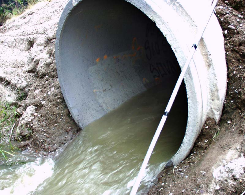 Out of the sewers Out of the sewers