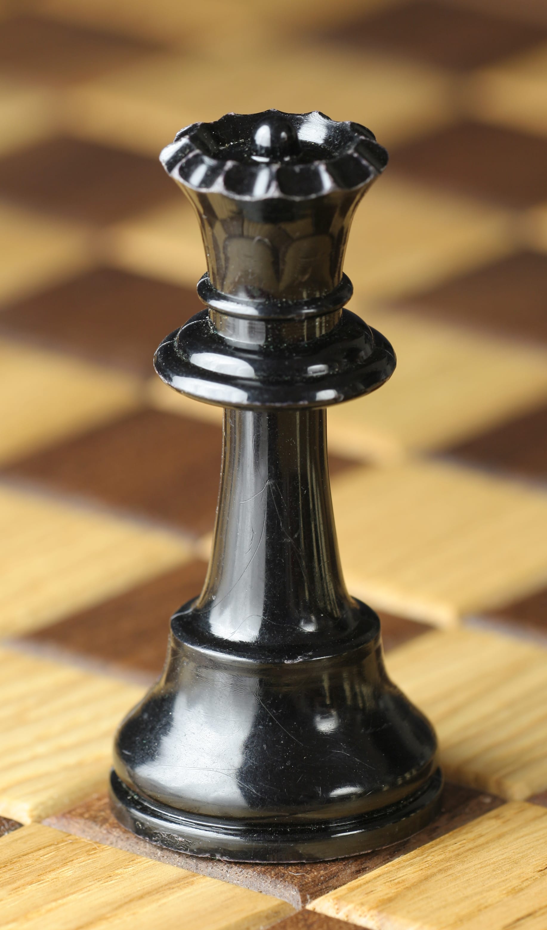 Gay chess, as Torre queens take over the world Gay chess, as Torre queens take over the world