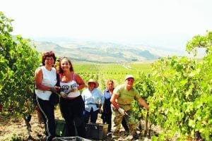 A wine time A wine time