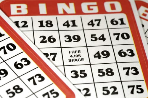 Bingo child neglect Bingo child neglect
