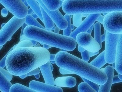 Legionnaires outbreak Legionnaires outbreak