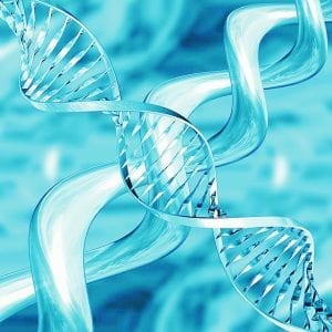 DNA breakthrough cracks brutal rape after nine years DNA breakthrough cracks brutal rape after nine years