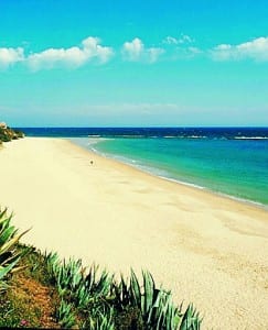 Virgin beach gets ‘urbanised’ Virgin beach gets ‘urbanised’