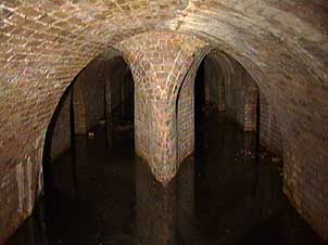 Out of the sewers Out of the sewers