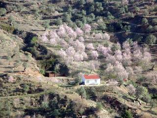 Paradise found – in Andalucia! Paradise found – in Andalucia!