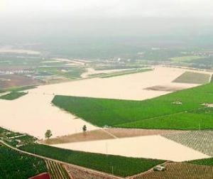 Floodgates open on illegal homes Floodgates open on illegal homes