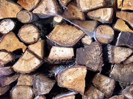 Log blog! Log blog!