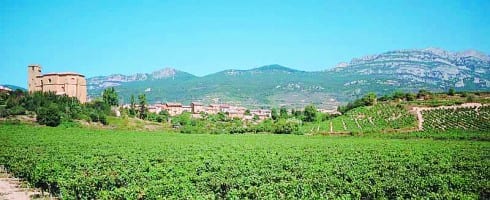 Spain’s magnificent seven wine impress US Spain’s magnificent seven wine impress US