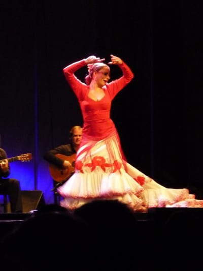 The power of flamenco The power of flamenco