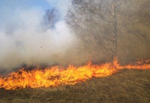 Expat firestarter fined millions in Spain Expat firestarter fined millions in Spain