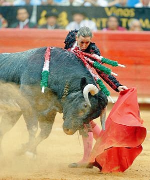 Ole! Female bullfighter Mari Paz Vega fights to return to Malaga Ole! Female bullfighter Mari Paz Vega fights to return to Malaga