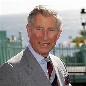 Prince Charles discusses Spanish green options Prince Charles discusses Spanish green options