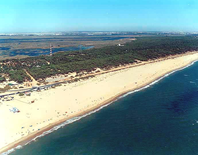 British teenager drowns in Spain British teenager drowns in Spain