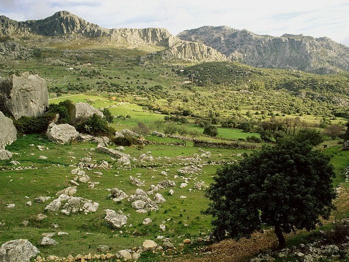 License for confusion in Spanish natural parks License for confusion in Spanish natural parks