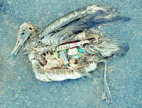 Fishermen in Spain could be paid to catch plastic Fishermen in Spain could be paid to catch plastic