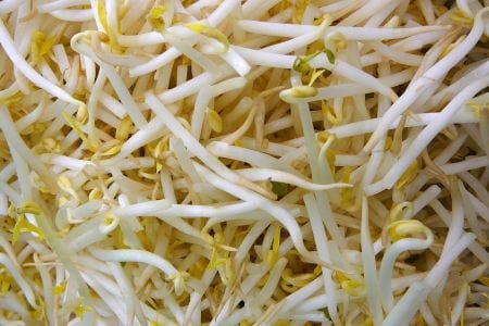 German bean sprouts not Spanish cucumbers to blame for deadly E.coli outbreak German bean sprouts not Spanish cucumbers to blame for deadly E.coli outbreak