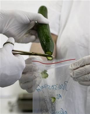 Spanish cucumbers are not to blame for the E.coli outbreak Spanish cucumbers are not to blame for the E.coli outbreak