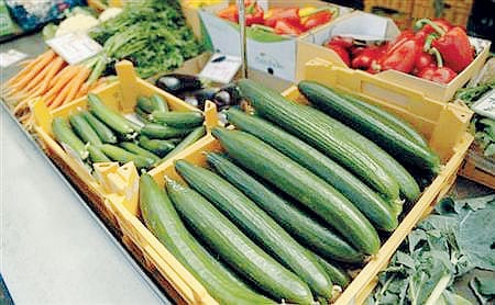 Spain’s killer cucumbers Spain’s killer cucumbers