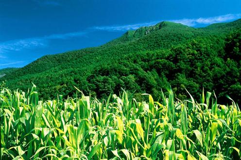 Africa-Spain biosphere reserve promoted Africa-Spain biosphere reserve promoted